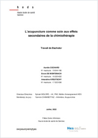 Travail de Bachelor SI22 - Cochard - de Montenach - Kreutschy.pdf